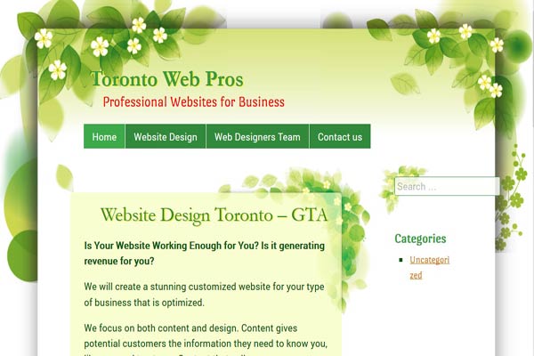 web design for developers